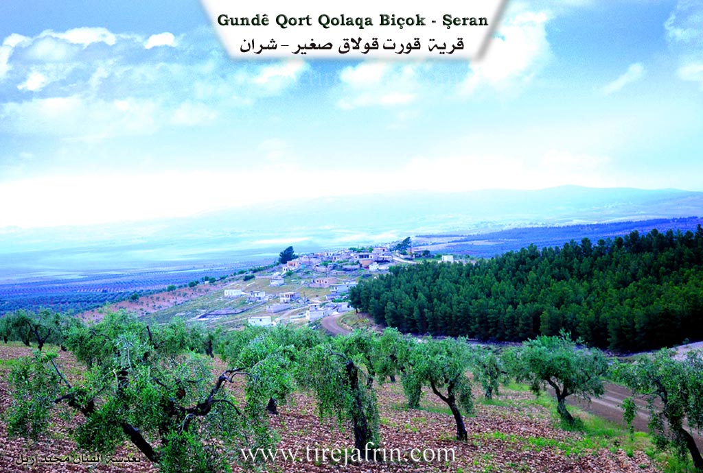 Photo of Qurtqulaqê Çûçik